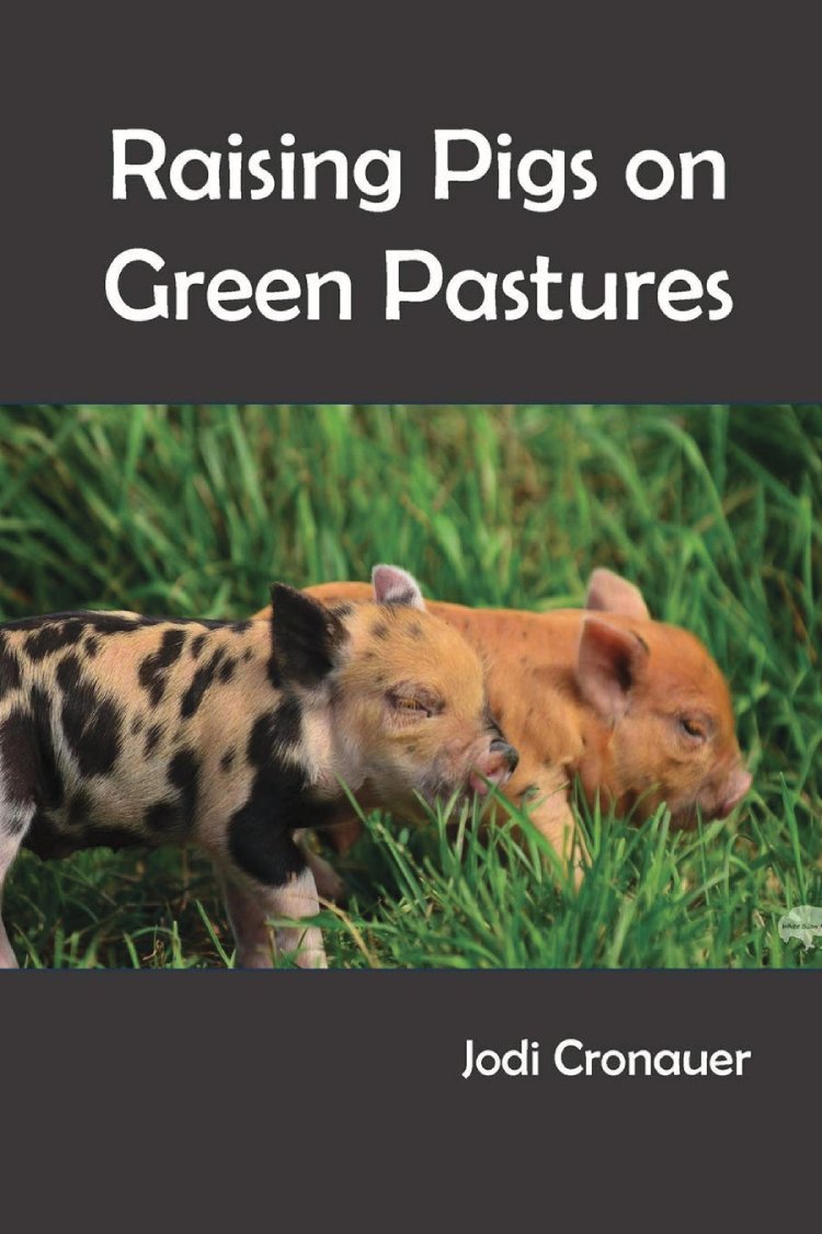 RAISING PIGS ON GREEN PASTURES