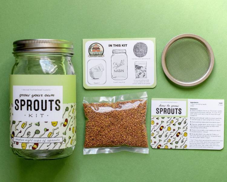 SPROUTING KIT: GROW YOUR OWN SPROUTS