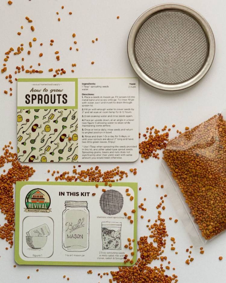 SPROUTING KIT: GROW YOUR OWN SPROUTS