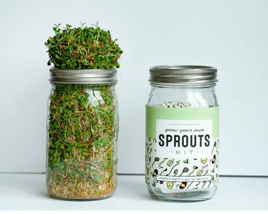 SPROUTING KIT: GROW YOUR OWN SPROUTS