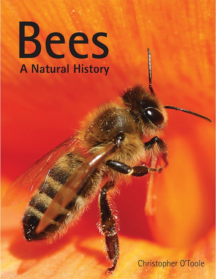 BEES: A NATURAL HISTORY