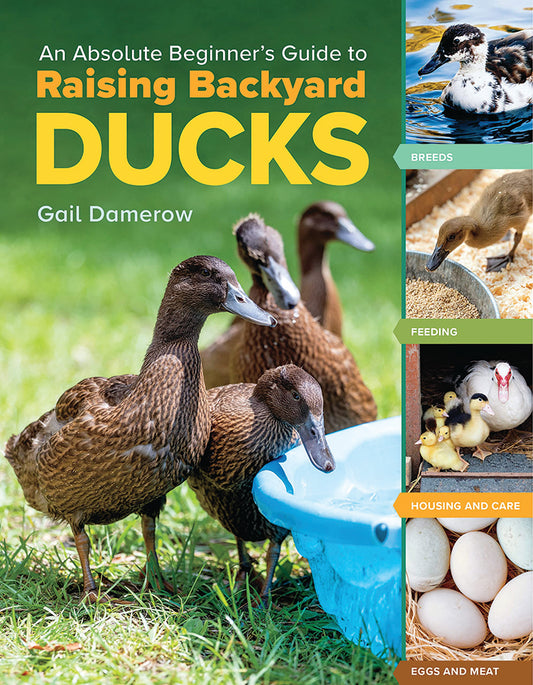 AN ABSOLUTE BEGINNER'S GUIDE TO RAISING BACKYARD DUCKS