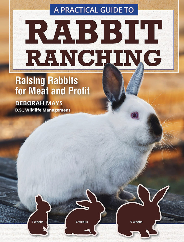 A Practical Guide To Rabbit Ranching – Grit