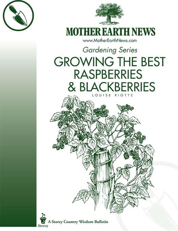 GROWING THE BEST RASPBERRIES AND BLACKBERRIES, E-HANDBOOK