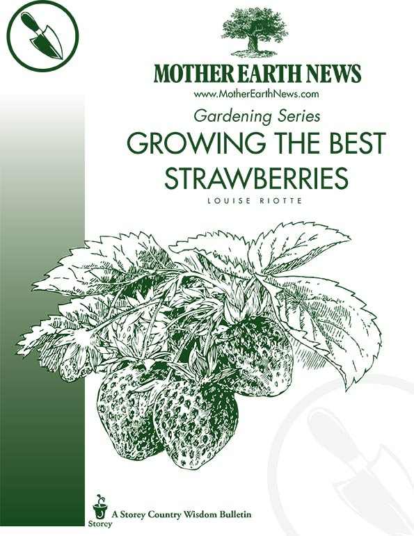 GROWING THE BEST STRAWBERRIES, E-HANDBOOK