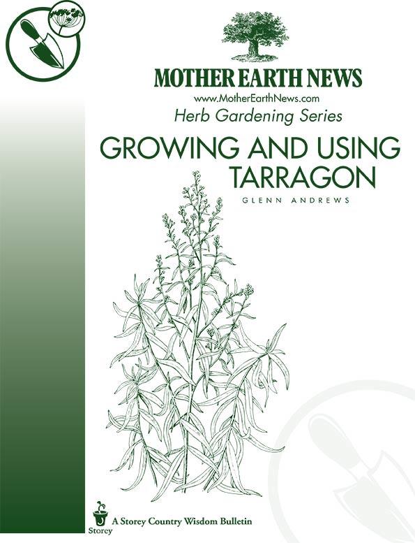 GROWING AND USING TARRAGON, E-HANDBOOK