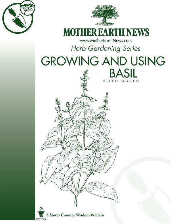 GROWING AND USING BASIL, E-HANDBOOK