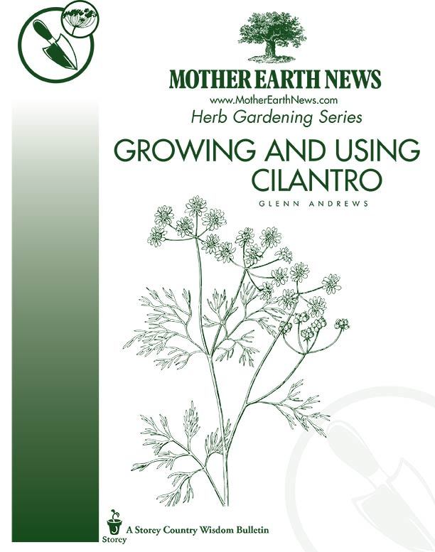 GROWING AND USING CILANTRO, E-HANDBOOK