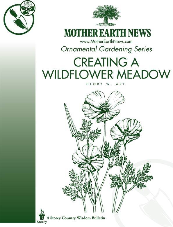 CREATING A WILDFLOWER MEADOW, E-HANDBOOK