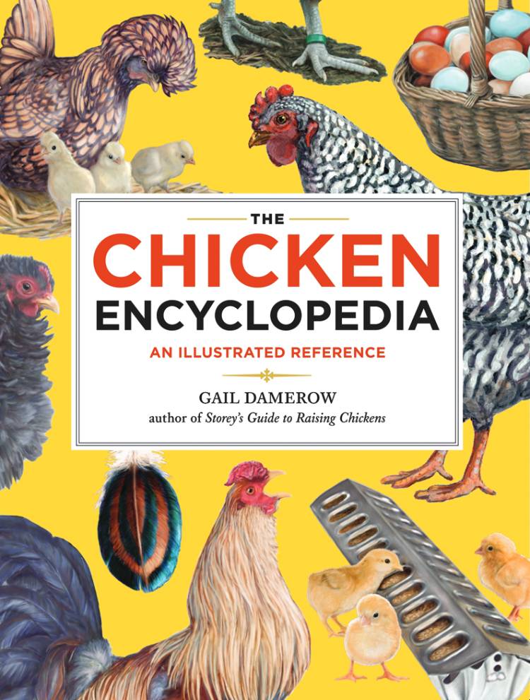 THE CHICKEN ENCYCLOPEDIA