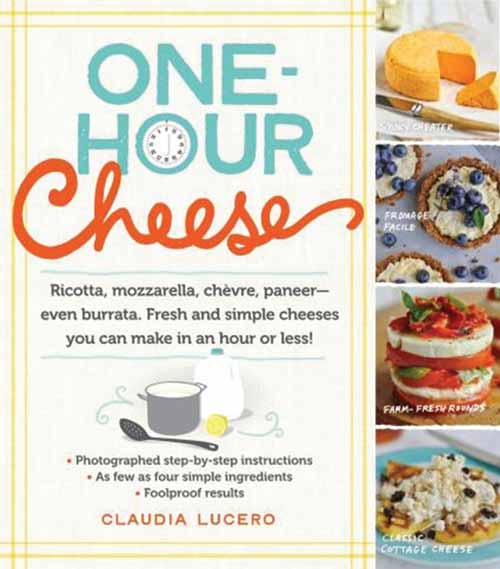 ONE-HOUR CHEESE