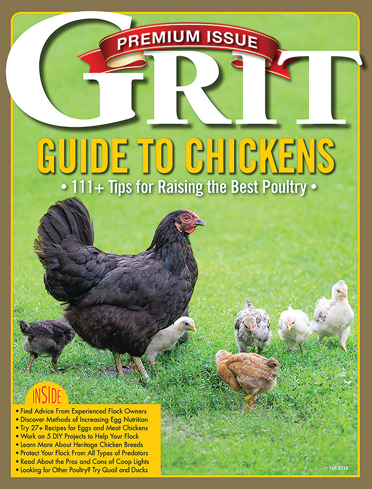 GRIT PREMIUM GUIDE TO CHICKENS, 1ST EDITION