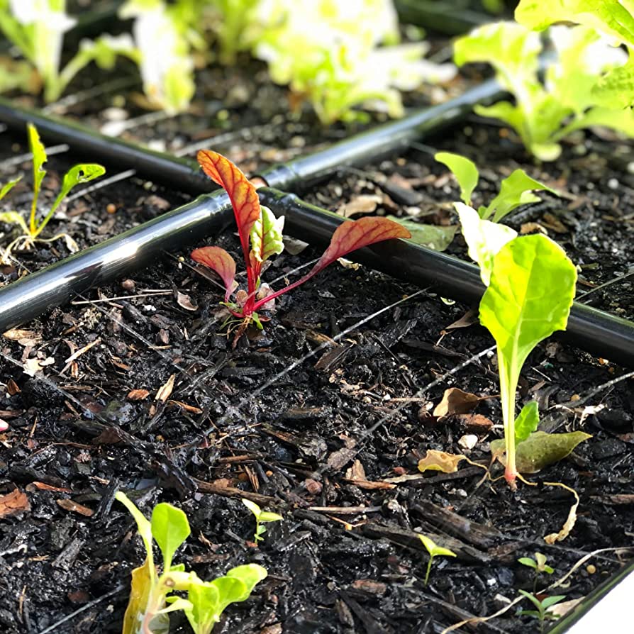 METAL RAISED GARDEN BED KITS WITH GARDEN GRIDS