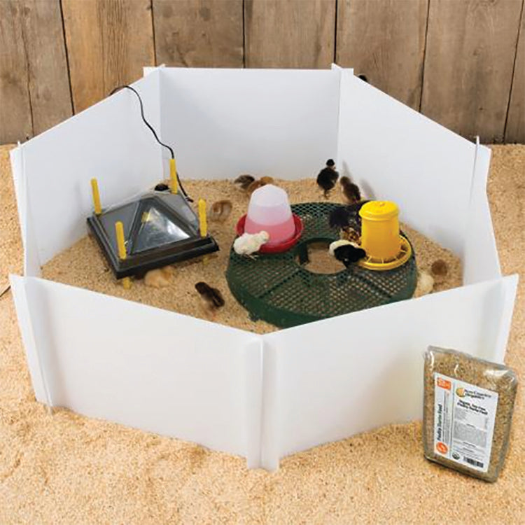 Table Top Brooder Chicken Brooder Kit With Heating Plate – Grit