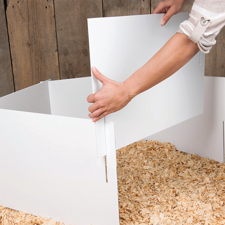 Brooder Pan Chicken Brooder Kit With Heating Plate – Grit
