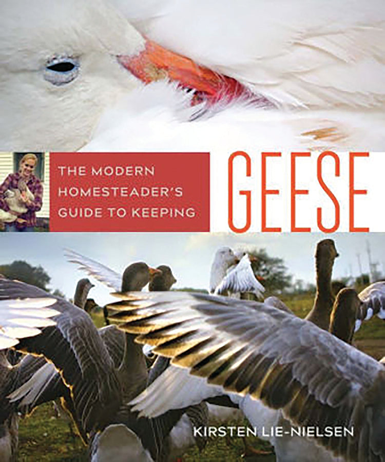 MODERN HOMESTEADER'S GUIDE TO KEEPING GEESE