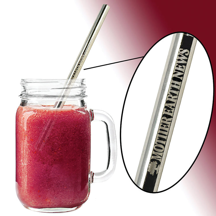 MOTHER EARTH NEWS STAINLESS STEEL SMOOTHIE STRAW