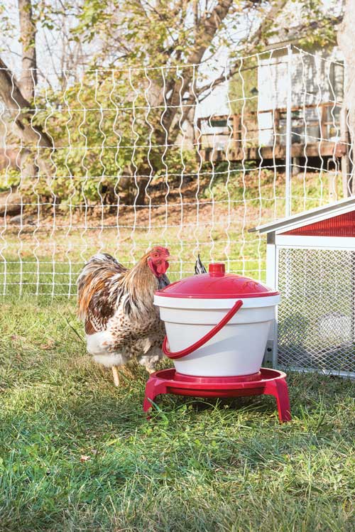 3-GALLON QUIKCLEAN™ WATERER WITH LEGS