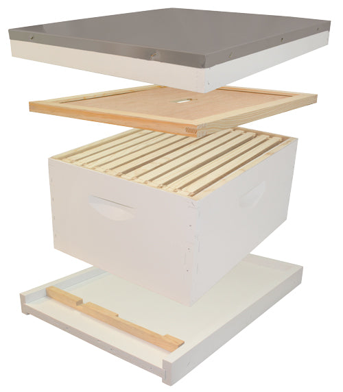 10-FRAME BASIC BEEKEEPING STARTER KIT, PAINTED