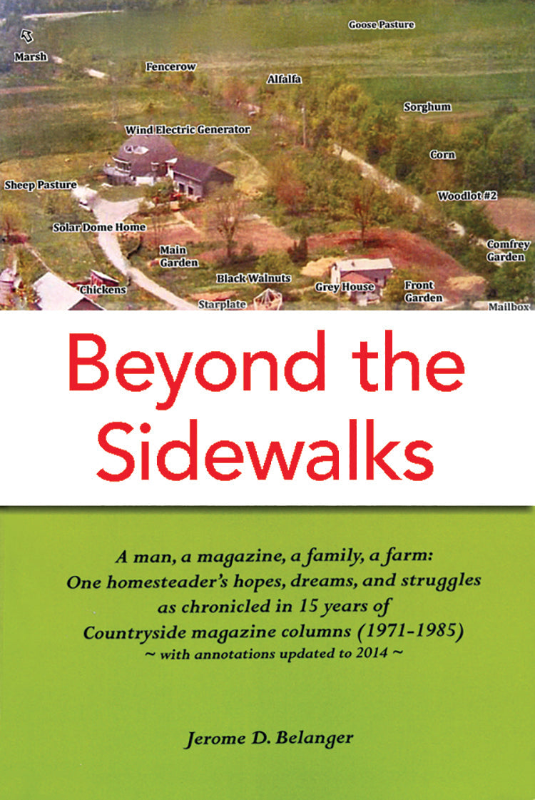 BEYOND THE SIDEWALKS