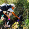 JOURNEY WATER PURIFIER BOTTLE - ORCHID